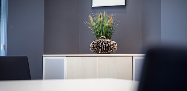 German Tax Consultants: Impressions of our consulting team and our rooms